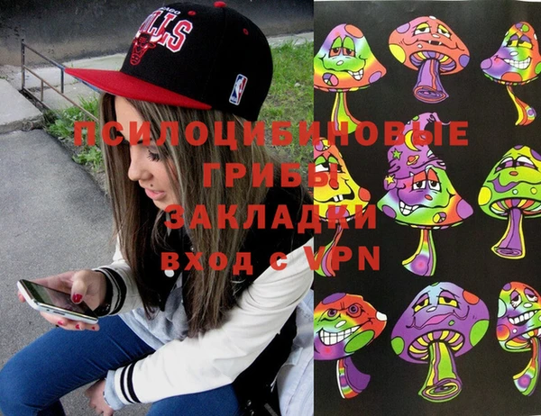 мяу мяу мука Алзамай