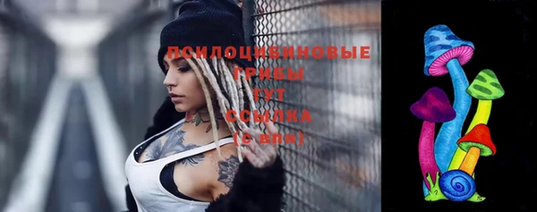 мяу мяу мука Алзамай